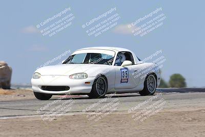 media/Oct-04-2025-OnGrid (Sat) [[44bd565ffa]]/Purple Group/Grapevine/